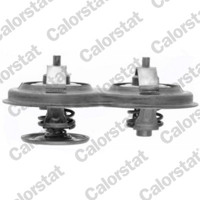 Thermostaat Calorstat By Vernet TH7105.83J