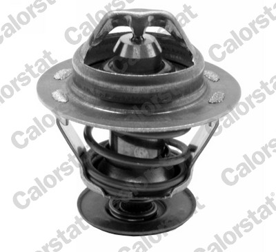 Thermostaat Calorstat By Vernet TH7299.75
