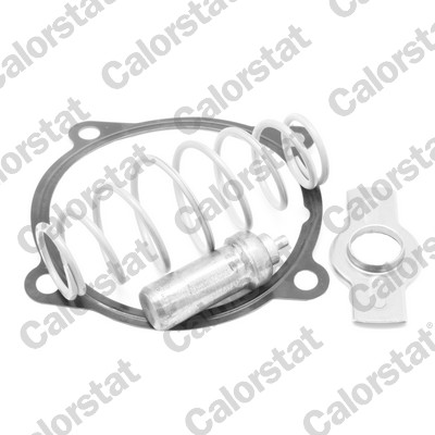 Thermostaat Calorstat By Vernet TH7313.79J