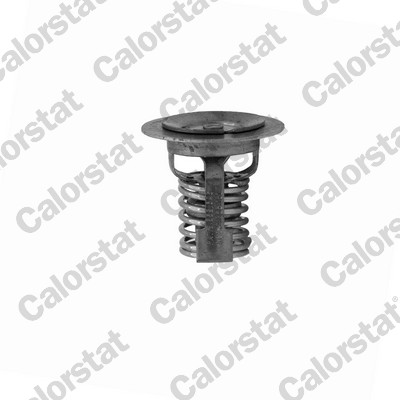 Thermostaat Calorstat By Vernet TH7442.69