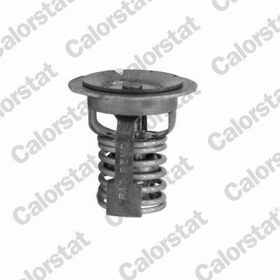 Thermostaat Calorstat By Vernet TH7445.60