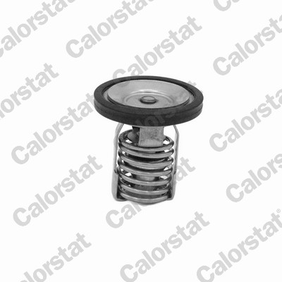 Thermostaat Calorstat By Vernet TH7446.54J