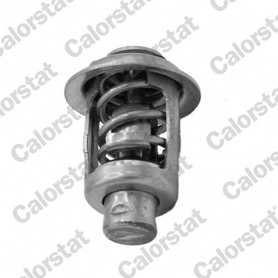 Thermostaat Calorstat By Vernet TH7447.56