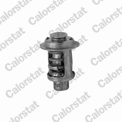 Thermostaat Calorstat By Vernet TH7448.62