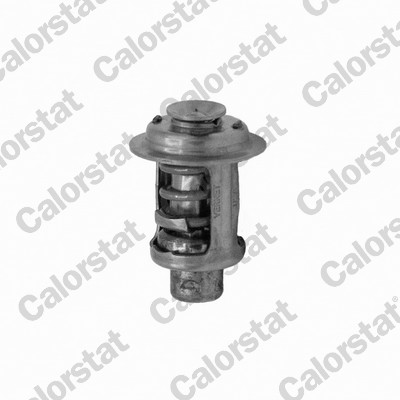 Thermostaat Calorstat By Vernet TH7449.49J