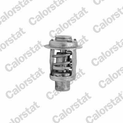 Thermostaat Calorstat By Vernet TH7452.62