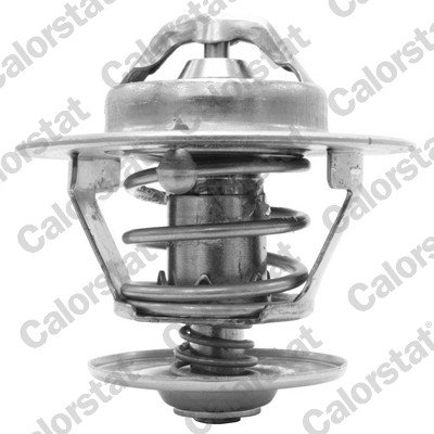 Thermostaat Calorstat By Vernet TH7455.89