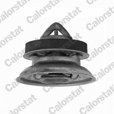 Thermostaat Calorstat By Vernet TH7456.82