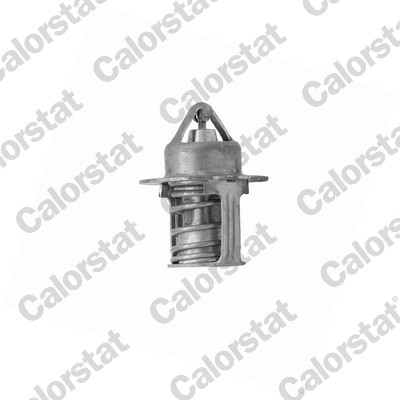 Thermostaat Calorstat By Vernet TH7457.82