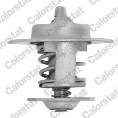 Thermostaat Calorstat By Vernet TH7458.88