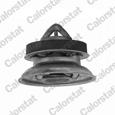 Thermostaat Calorstat By Vernet TH7466.82J