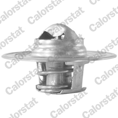 Thermostaat Calorstat By Vernet TH7483.71