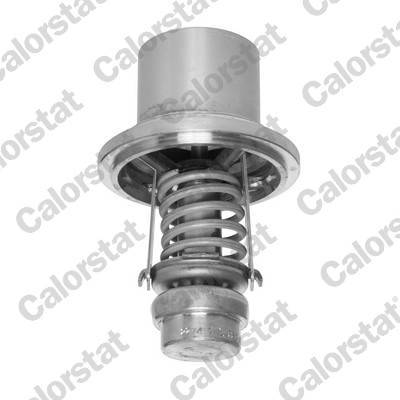 Thermostaat Calorstat By Vernet THS13555.82