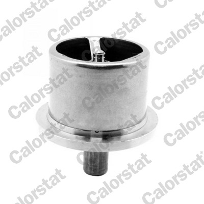 Thermostaat Calorstat By Vernet THS20001M.71