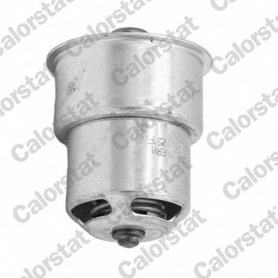Thermostaat Calorstat By Vernet THS20002M.102