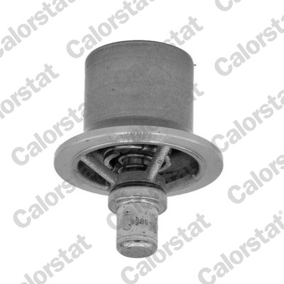 Thermostaat Calorstat By Vernet THS20003M.60