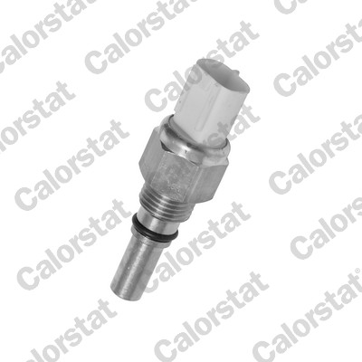Temperatuurschakelaar Calorstat By Vernet TS2764