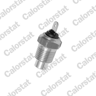 Temperatuursensor Calorstat By Vernet WS2509