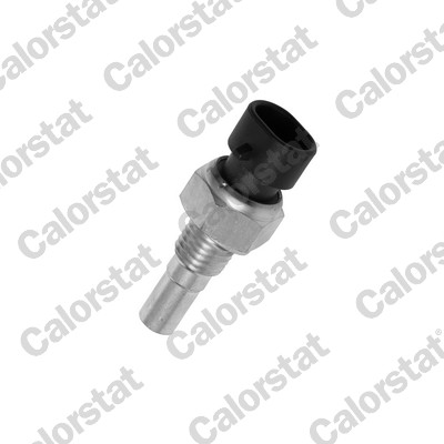 Temperatuursensor Calorstat By Vernet WS2586