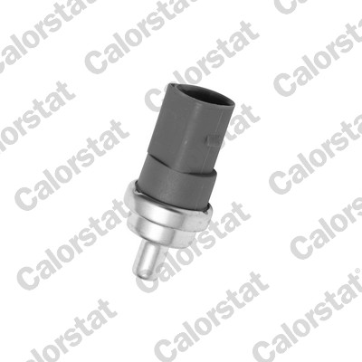 Temperatuursensor Calorstat By Vernet WS2604