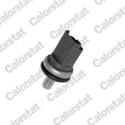 Temperatuursensor Calorstat By Vernet WS2610