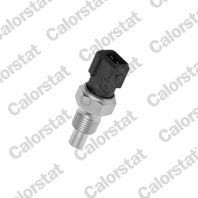 Temperatuursensor Calorstat By Vernet WS2611