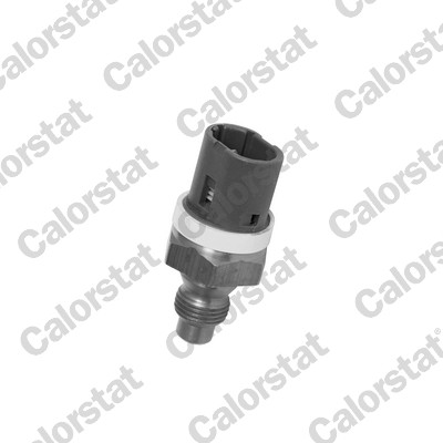 Temperatuursensor Calorstat By Vernet WS2624