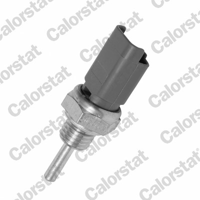 Temperatuursensor Calorstat By Vernet WS2633