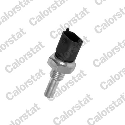 Temperatuursensor Calorstat By Vernet WS2697