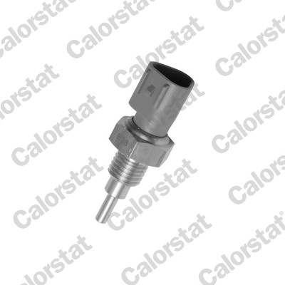 Temperatuursensor Calorstat By Vernet WS2938