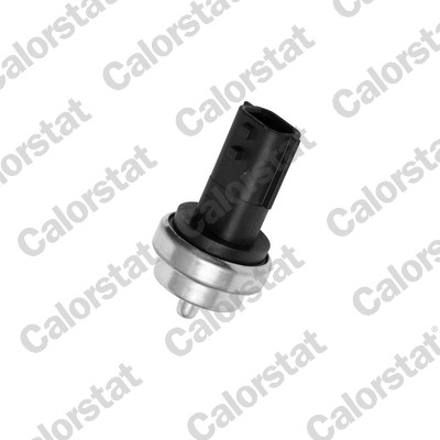 Temperatuursensor Calorstat By Vernet WS3019