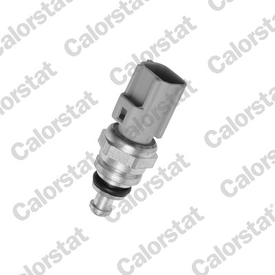 Temperatuursensor Calorstat By Vernet WS3038