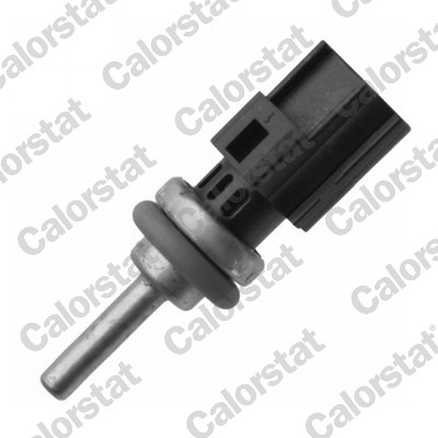 Temperatuursensor Calorstat By Vernet WS3087