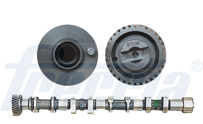 Nokkenas Freccia CM05-2269