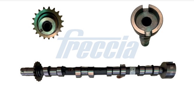 Nokkenas Freccia CM05-2361