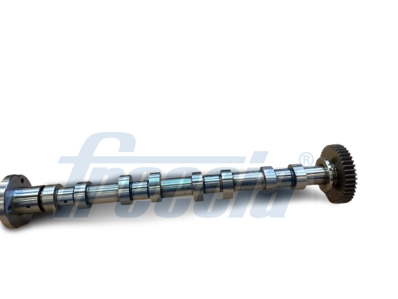 Nokkenas Freccia CM05-2378