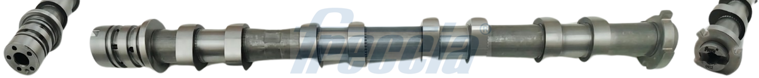 Nokkenas Freccia CM05-2403