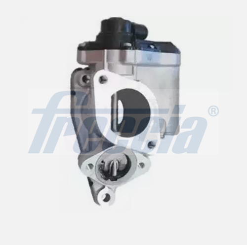 EGR-klep Freccia EGR12-223