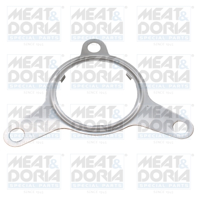 EGR-klep pakking Meat Doria 016123