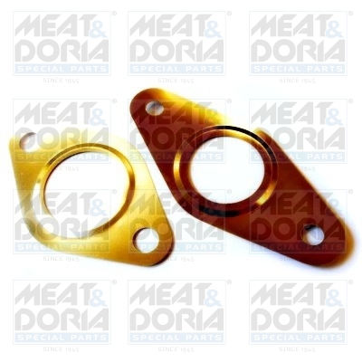 EGR-klep pakking Meat Doria 01615