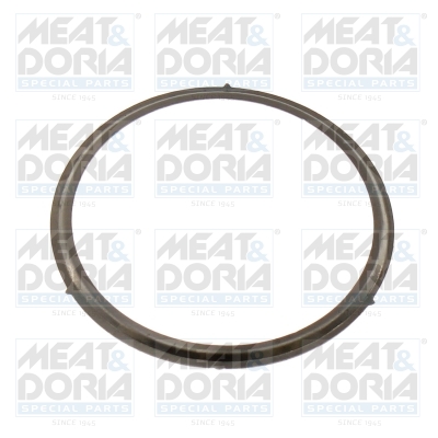 EGR-klep pakking Meat Doria 016207