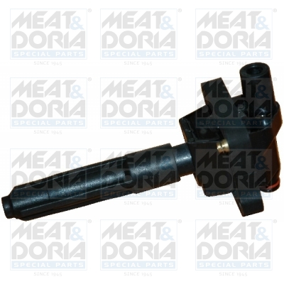 Bobine Meat Doria 10369