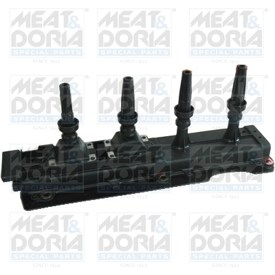 Bobine Meat Doria 10417