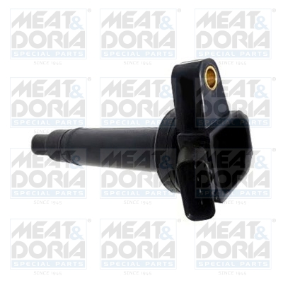 Bobine Meat Doria 10558