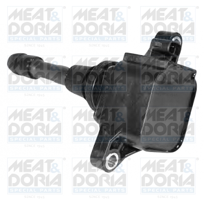 Bobine Meat Doria 10578