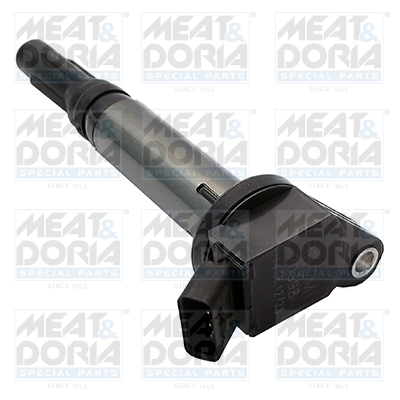 Bobine Meat Doria 10617