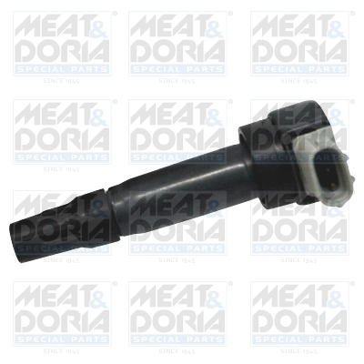 Bobine Meat Doria 10662