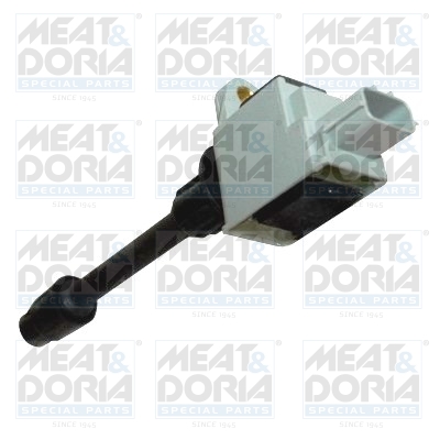 Bobine Meat Doria 10726