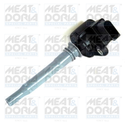 Bobine Meat Doria 10752