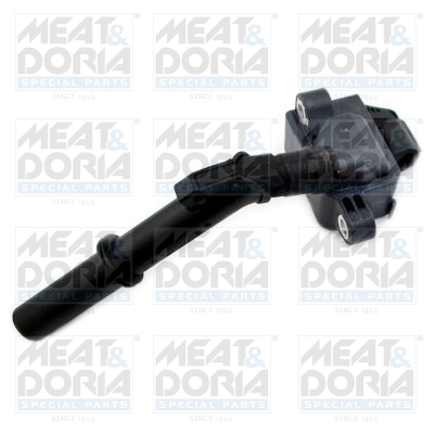 Bobine Meat Doria 10804